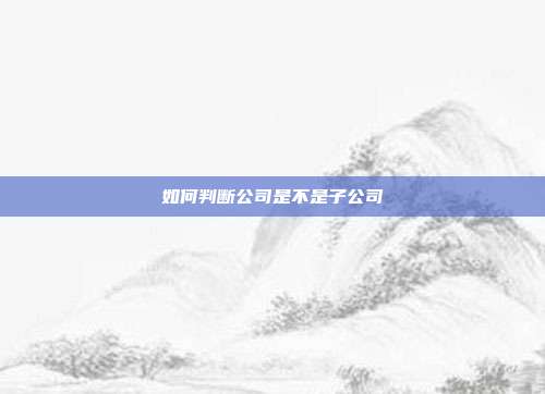 如何判断公司是不是子公司