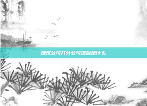 建筑公司开分公司流程是什么