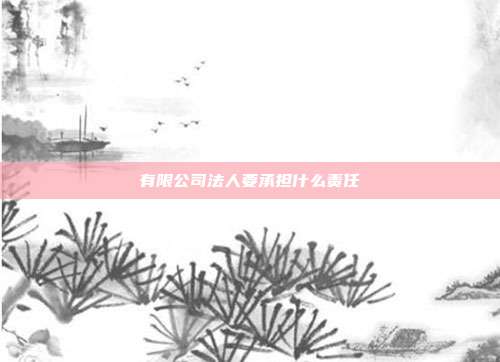 有限公司法人要承担什么责任