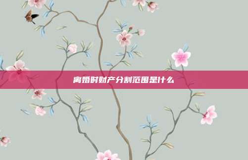 离婚时财产分割范围是什么