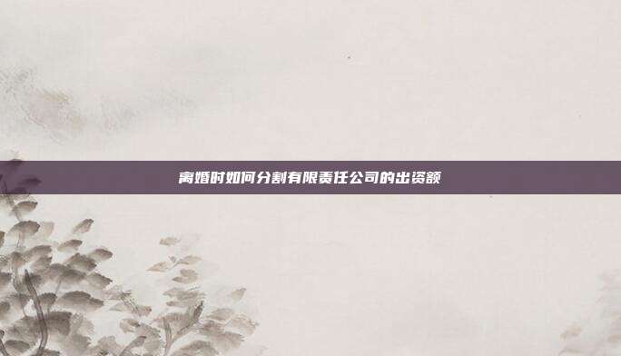 离婚时如何分割有限责任公司的出资额