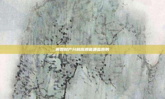 离婚财产分割应遵循哪些原则