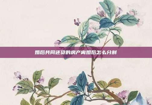 婚后共同还贷的房产离婚后怎么分割