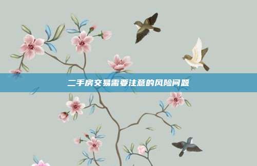 二手房交易需要注意的风险问题