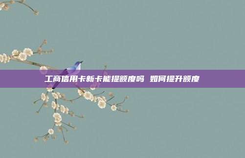 工商信用卡新卡能提额度吗 如何提升额度