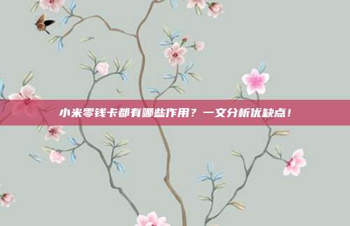 小米零钱卡都有哪些作用？一文分析优缺点！