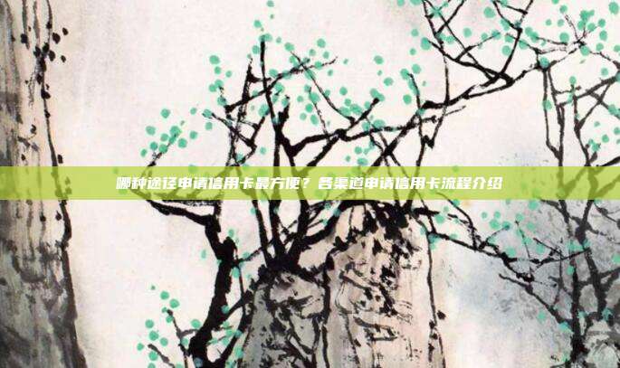 哪种途径申请信用卡最方便?各渠道申请信用卡流程介绍