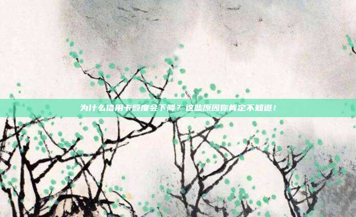 为什么信用卡额度会下降？这些原因你肯定不知道！