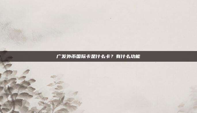 广发外币国际卡是什么卡？有什么功能