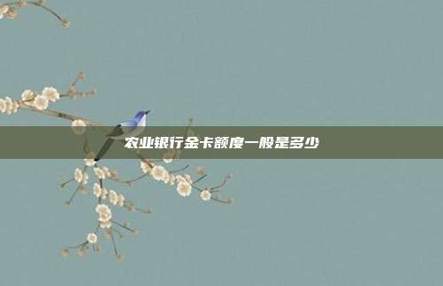 农业银行金卡额度一般是多少