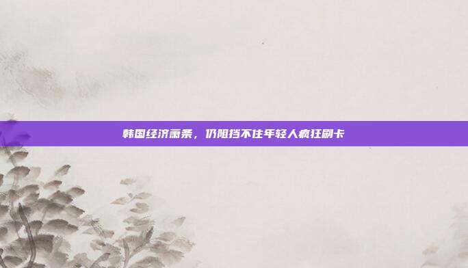 韩国经济萧条，仍阻挡不住年轻人疯狂刷卡