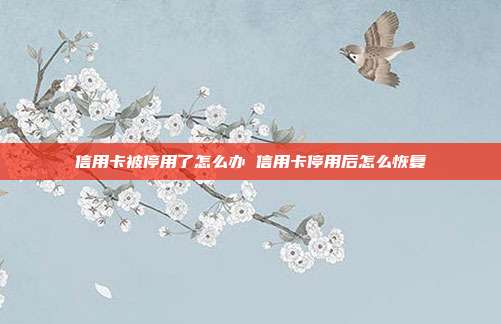 信用卡被停用了怎么办 信用卡停用后怎么恢复