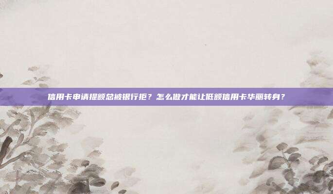 信用卡申请提额总被银行拒？怎么做才能让低额信用卡华丽转身？
