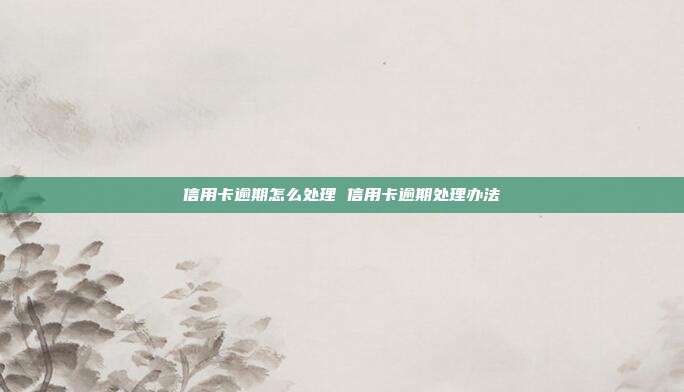 信用卡逾期怎么处理 信用卡逾期处理办法