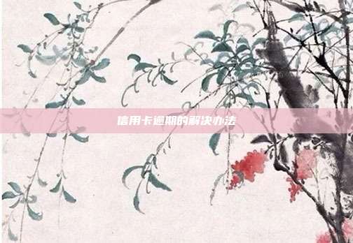 信用卡逾期的解决办法