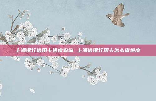 上海银行信用卡进度查询 上海信银行用卡怎么查进度