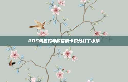 POS机套码导致信用卡积分打了水漂