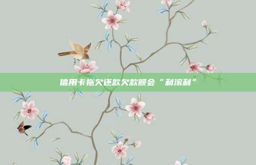 信用卡拖欠还款欠款额会“利滚利”