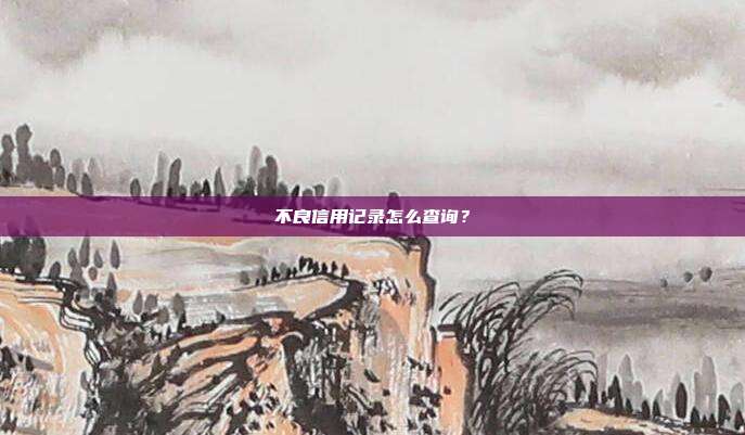 不良信用记录怎么查询？