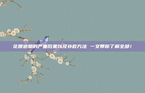 花呗逾期的严重后果以及补救方法 一文带你了解全部！