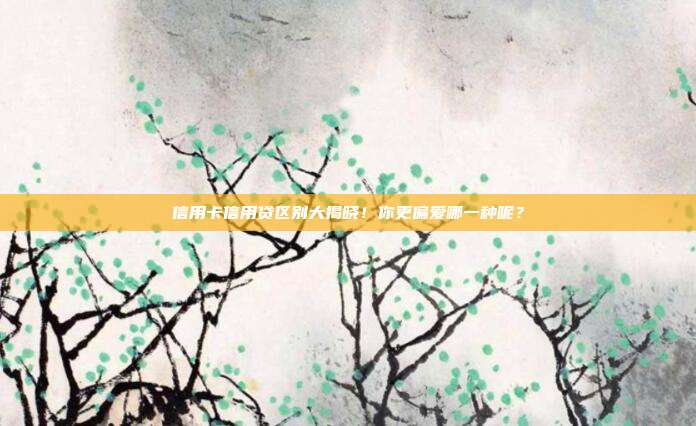 信用卡信用贷区别大揭晓！你更偏爱哪一种呢？