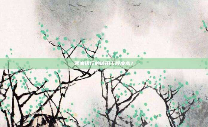 哪家银行的信用卡额度高？