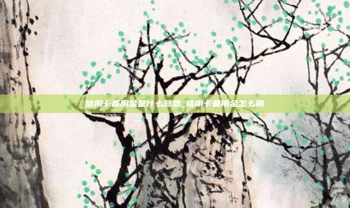 信用卡备用金是什么意思_信用卡备用金怎么用