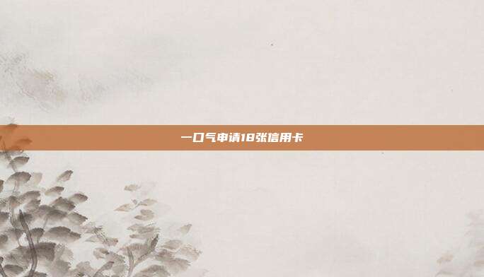 一口气申请18张信用卡