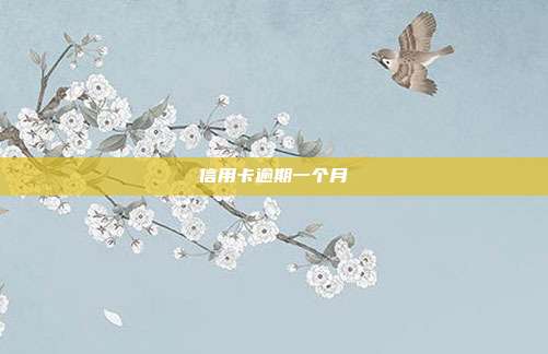信用卡逾期一个月