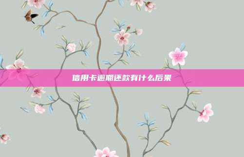 信用卡逾期还款有什么后果