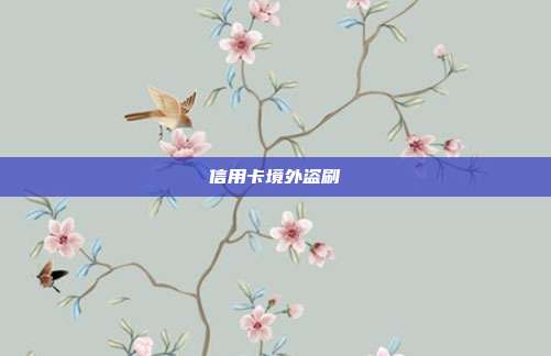 信用卡境外盗刷
