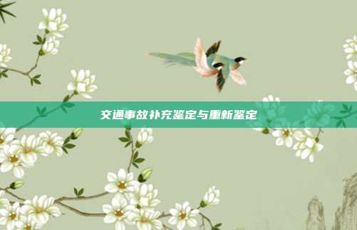 交通事故补充鉴定与重新鉴定