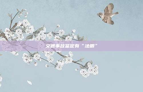 交通事故鉴定有“法眼”