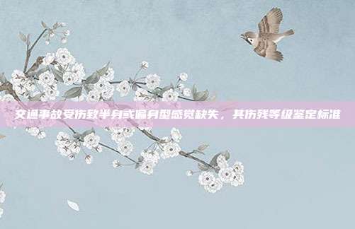 交通事故受伤致半身或偏身型感觉缺失，其伤残等级鉴定标准