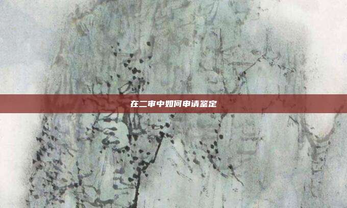 在二审中如何申请鉴定