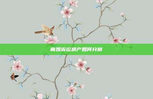 离婚诉讼房产如何分割