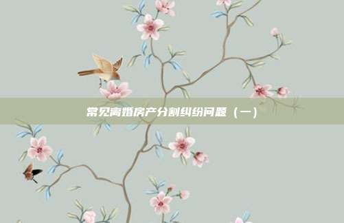 常见离婚房产分割纠纷问题(一)