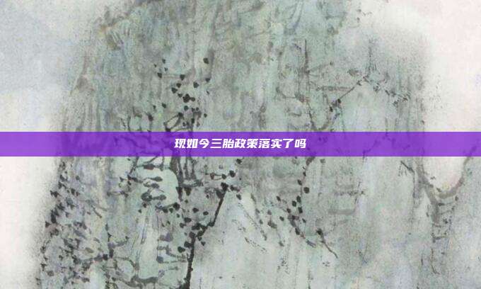 现如今三胎政策落实了吗