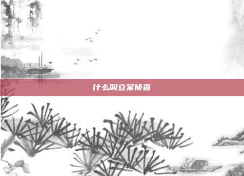 什么叫立案侦查
